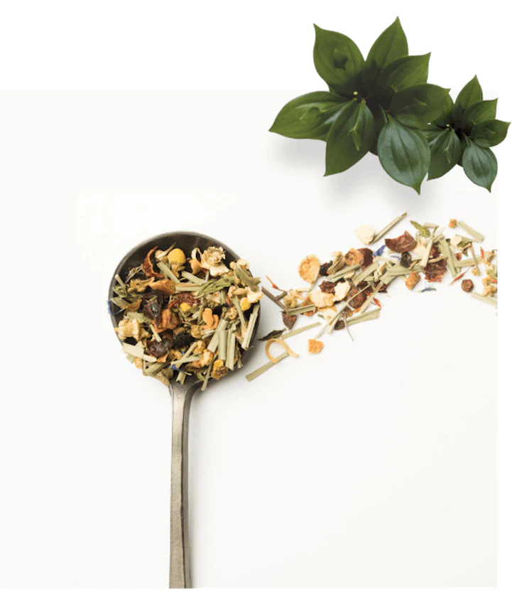 Pure Plant-Powered Wellness Solutions